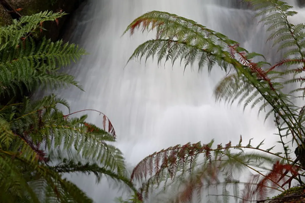 Mt Buangor State Park - Bailes Visitor Area Campground