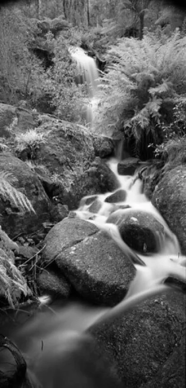 Mt Buangor State Park - Bailes Visitor Area Campground