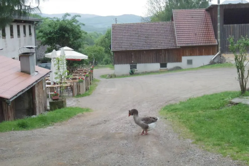 Camping Auberge Nidermatten