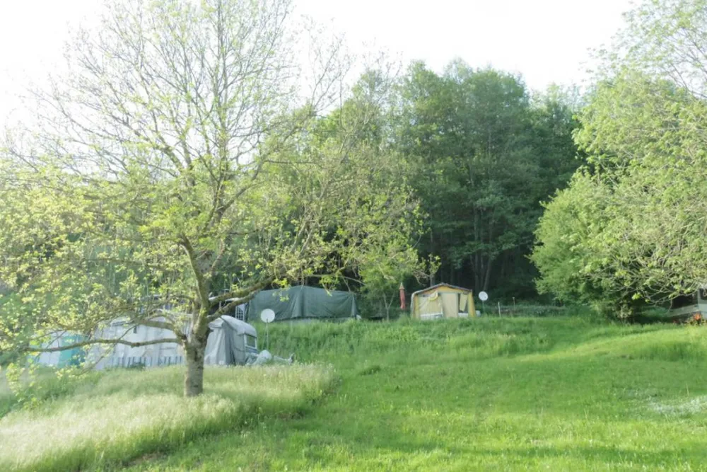 Camping Auberge Nidermatten