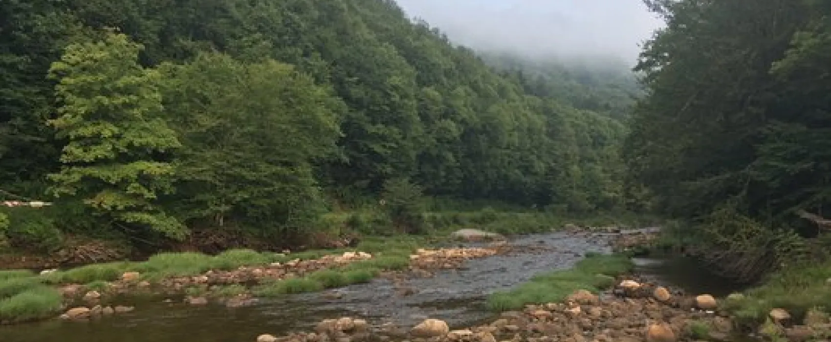 Tea Creek Campground