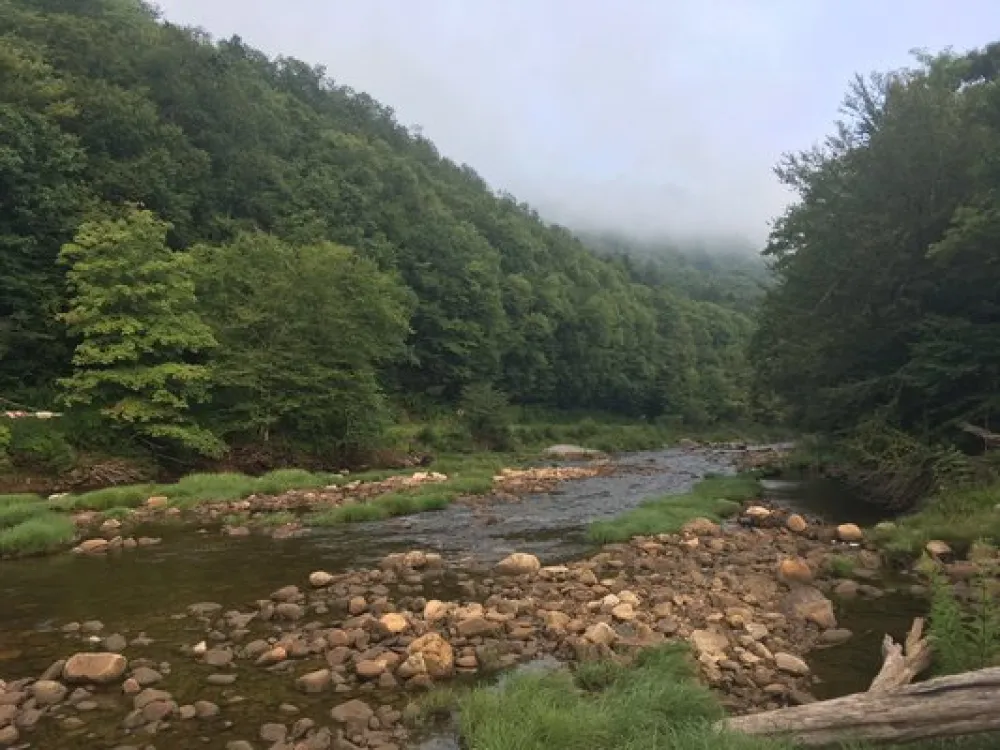 Tea Creek Campground