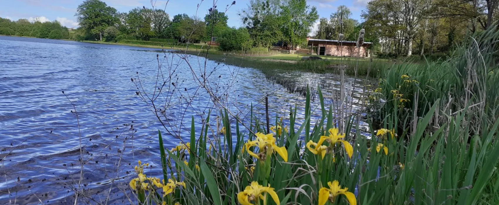 Municipal Le Marnant