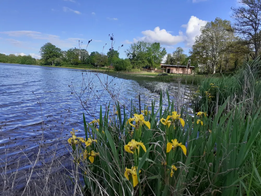 Municipal Le Marnant
