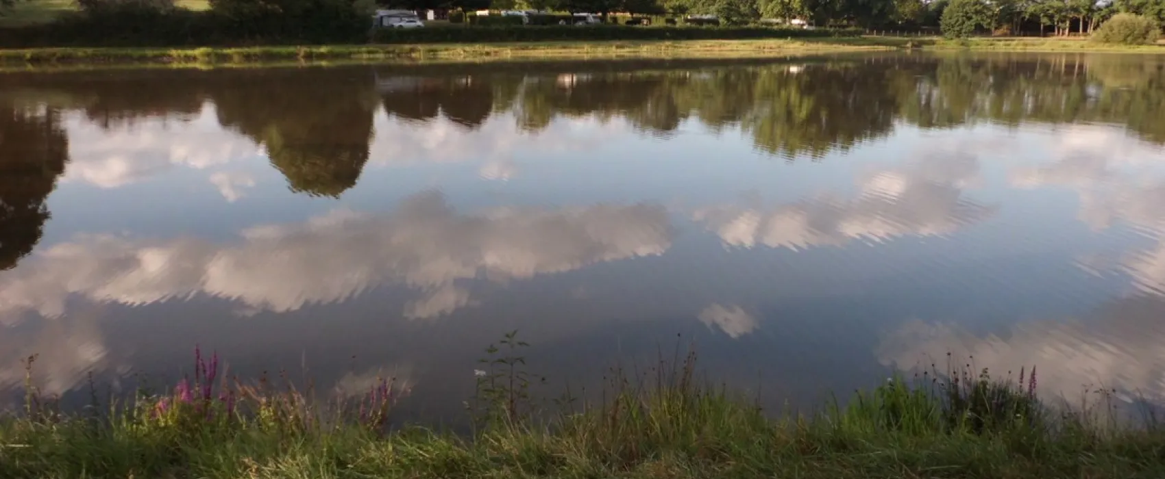 Municipal Le Marnant