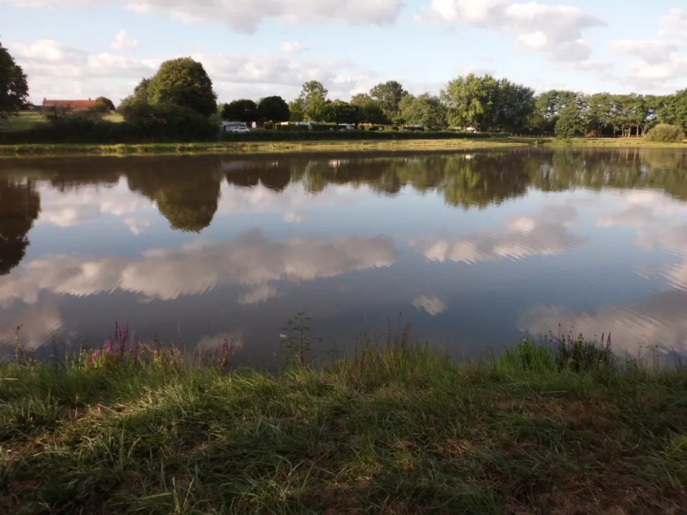 Municipal Le Marnant