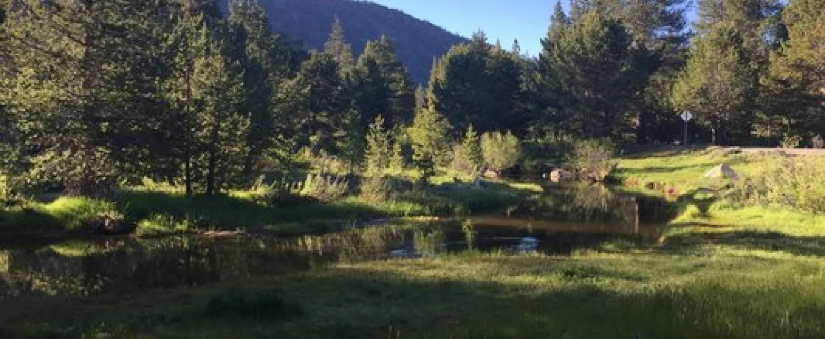 Tahoe Valley Campground