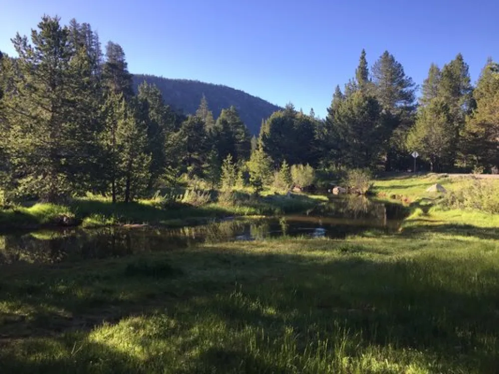 Tahoe Valley Campground
