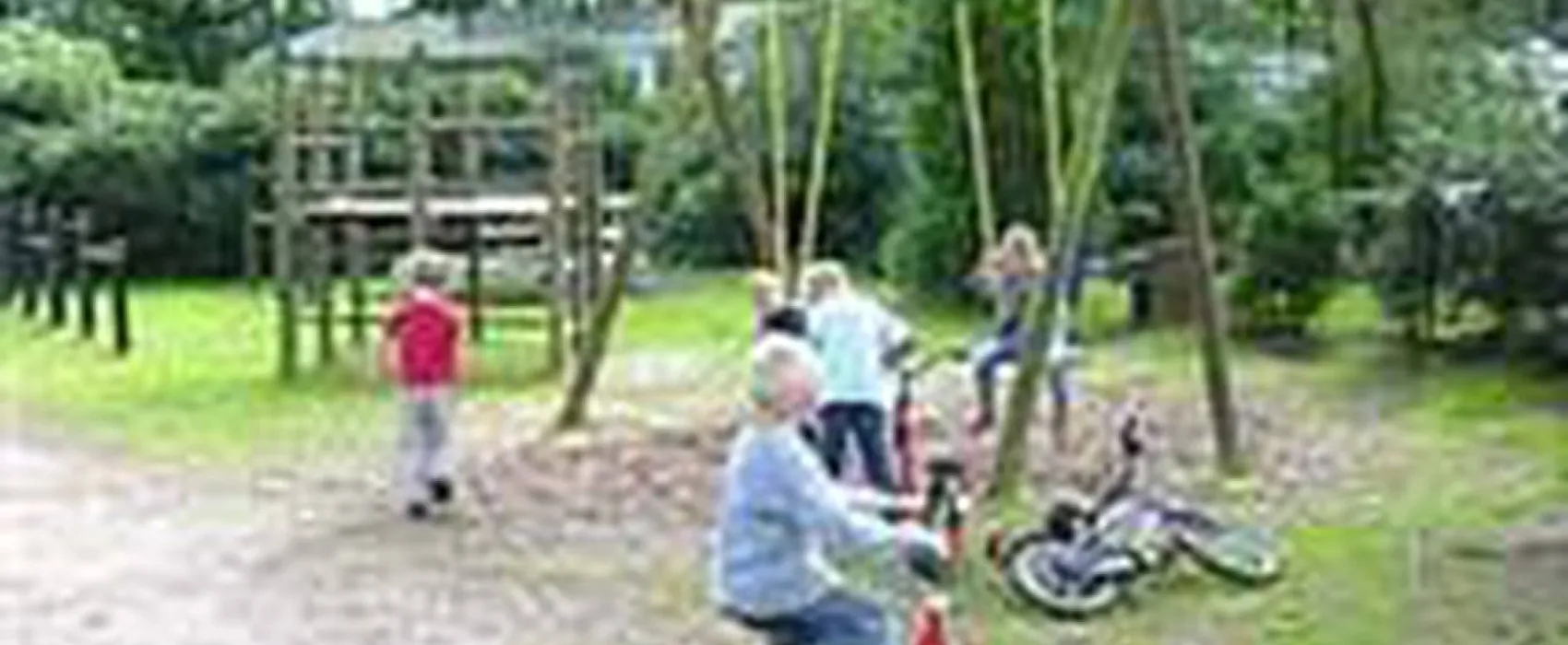 Camping Zuid Ginkel