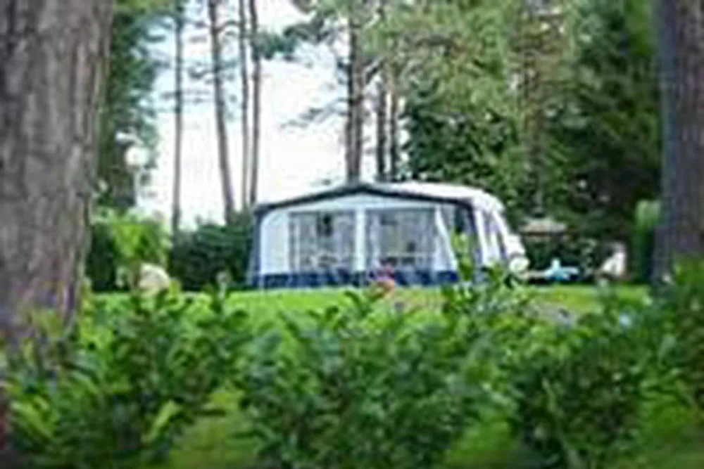 Camping Zuid Ginkel