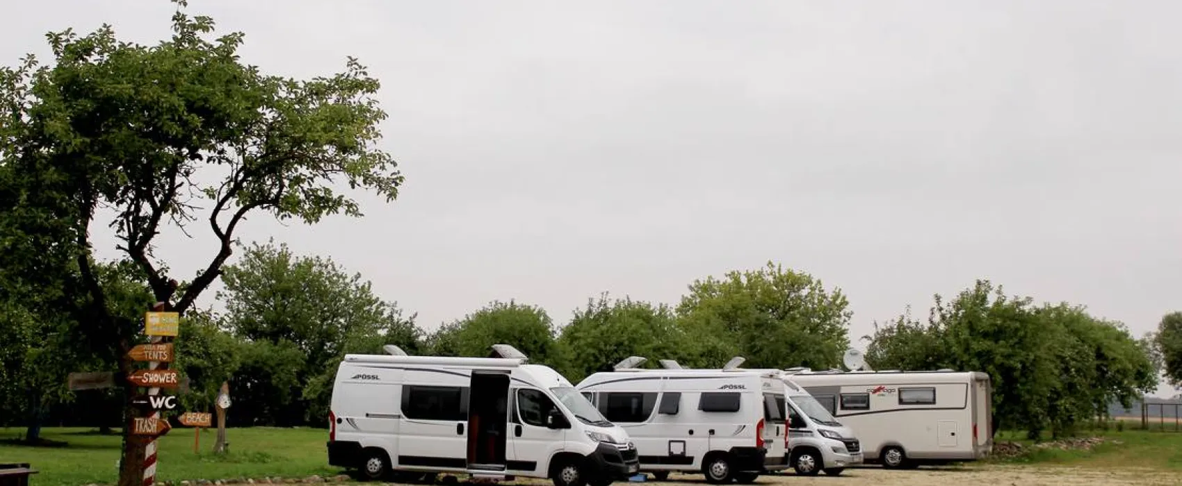 Sunny nights Camping