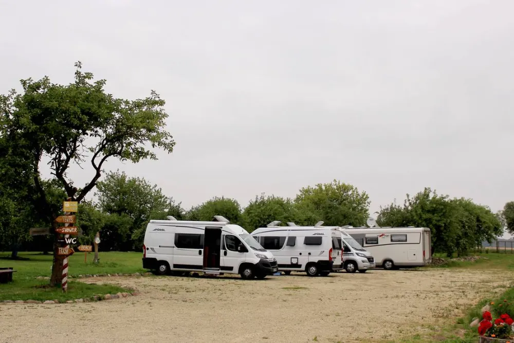 Sunny nights Camping