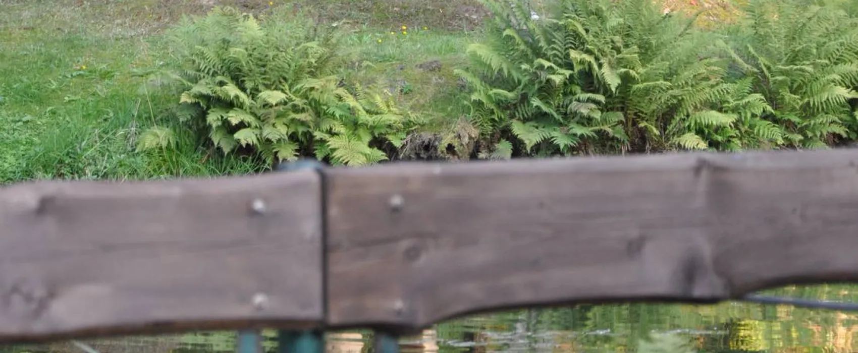 Caravanstellplatz "Im Kurpark" mit Wellnessbereich