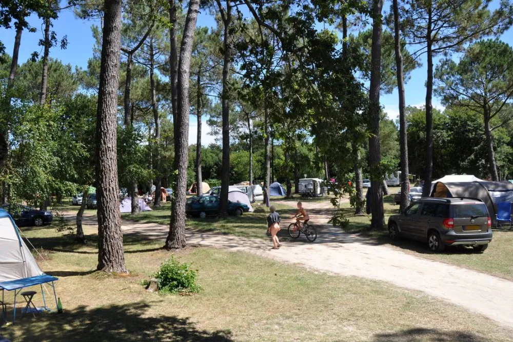 Club Naturiste Bretagne Sud