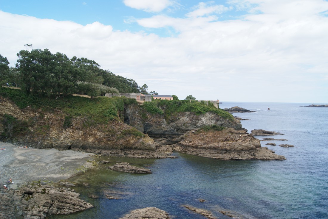 Gaivota photo 3