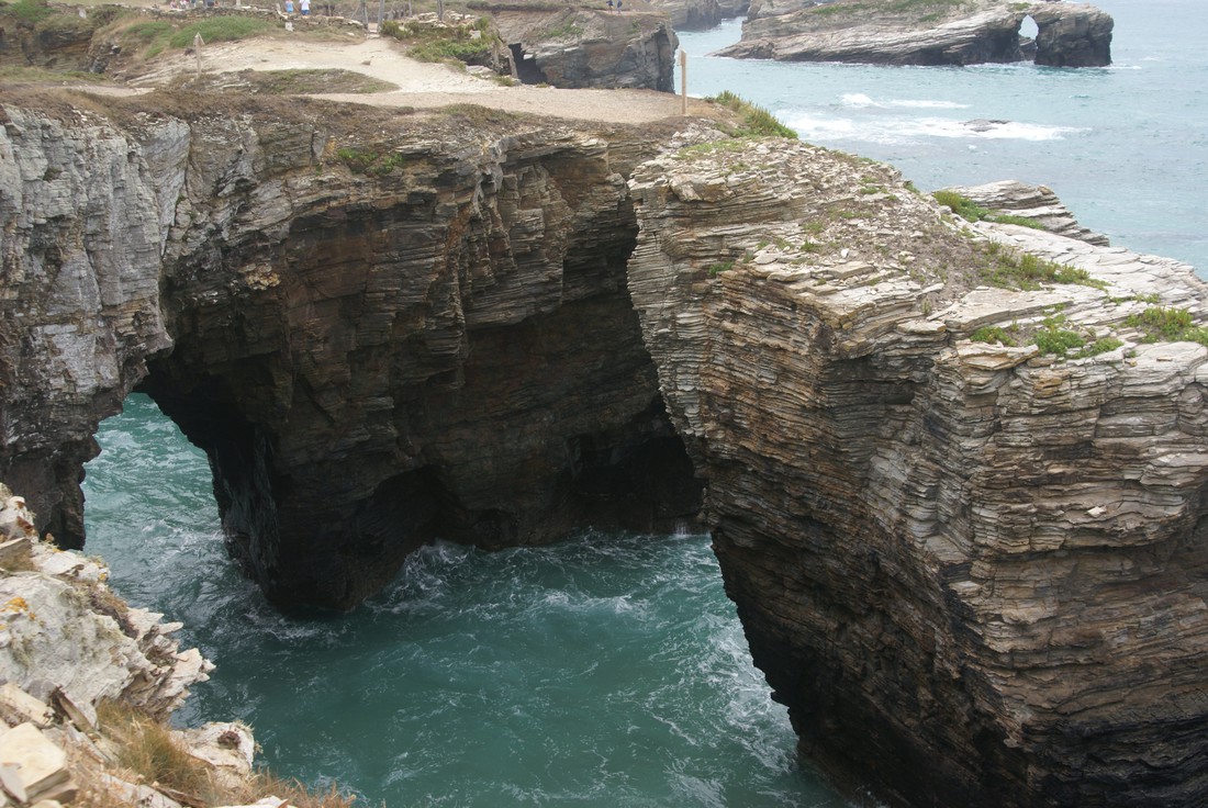 Gaivota photo 5
