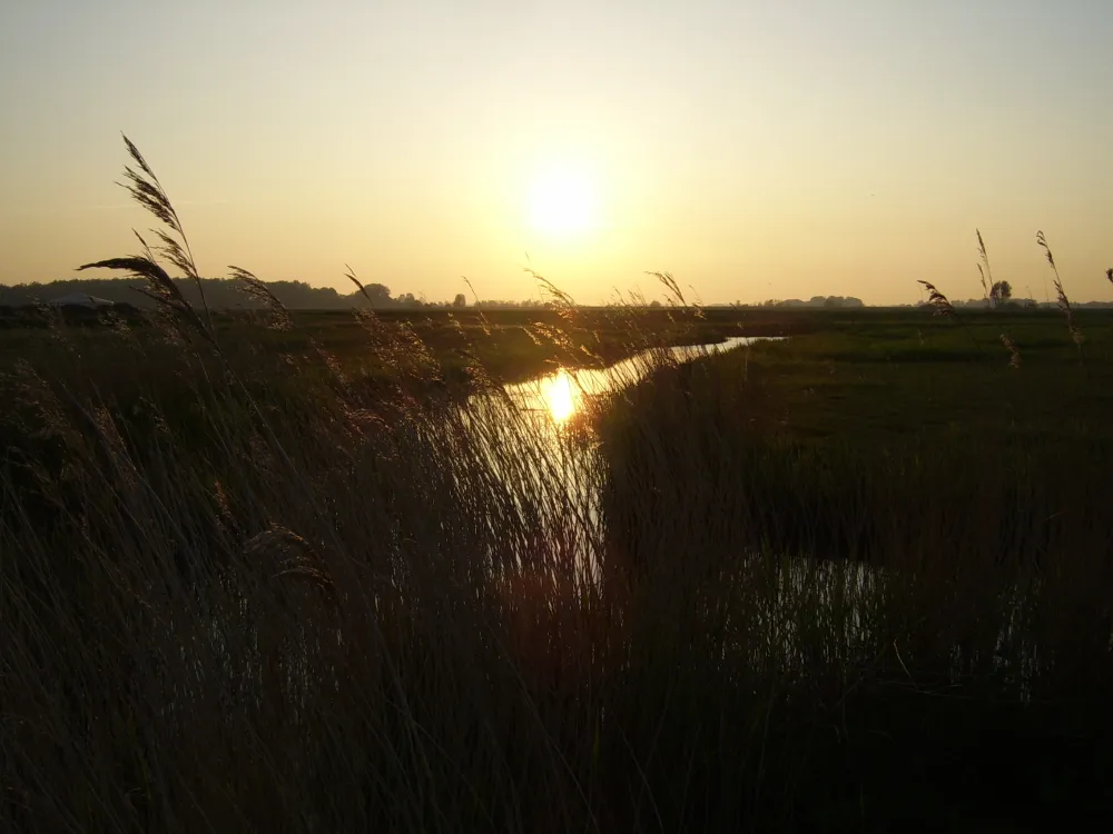 it Dreamlân, overnachten in puur Friesland