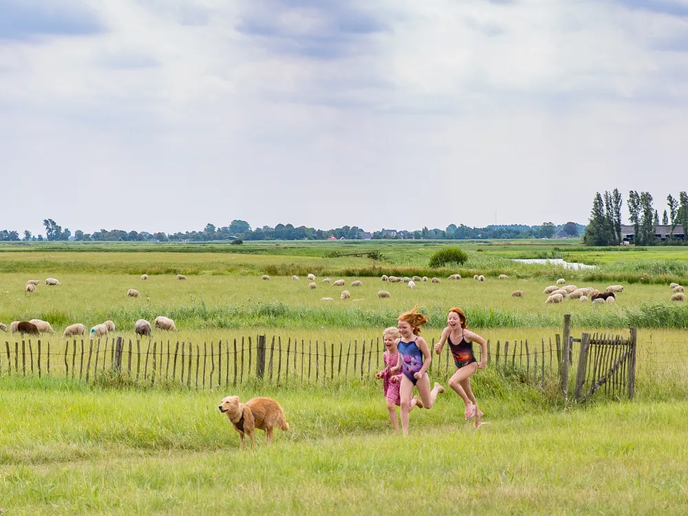 it Dreamlân, overnachten in puur Friesland