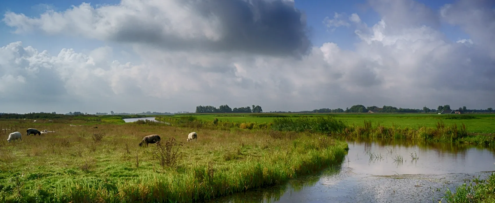 it Dreamlân, overnachten in puur Friesland