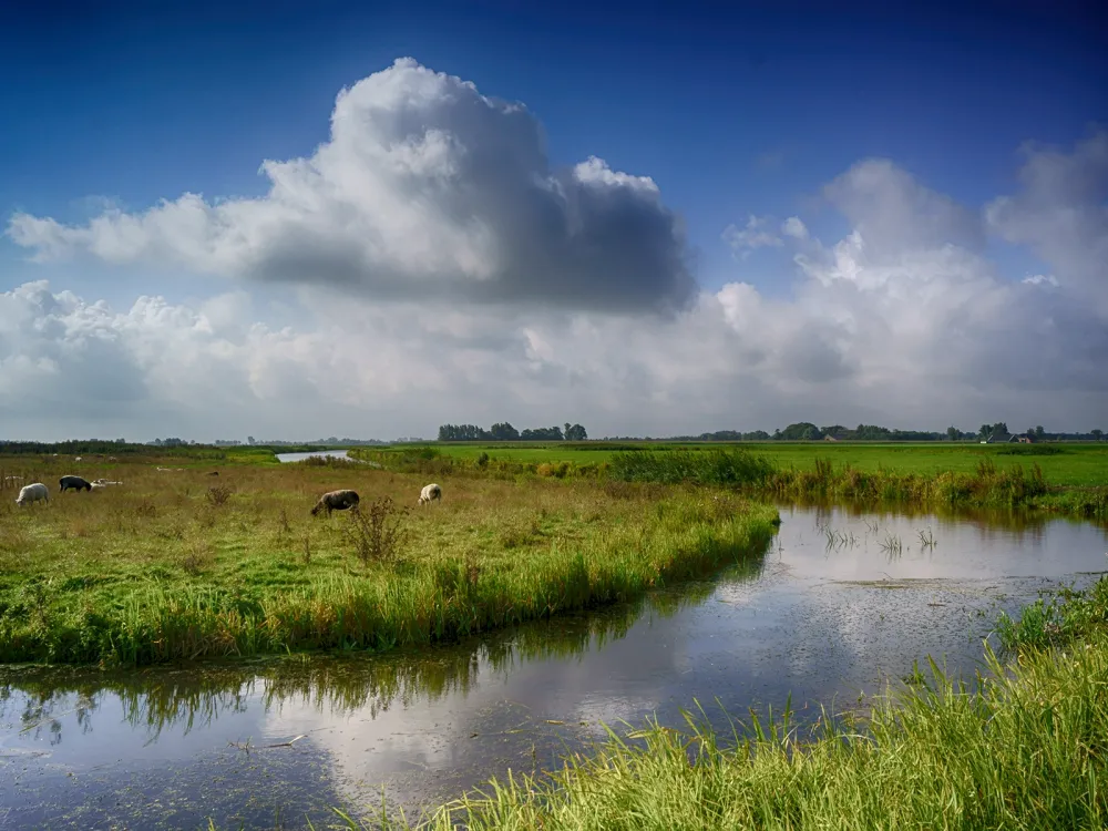 it Dreamlân, overnachten in puur Friesland