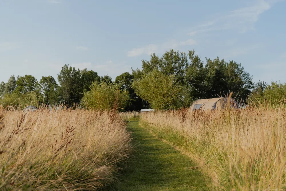 it Dreamlân, overnachten in puur Friesland