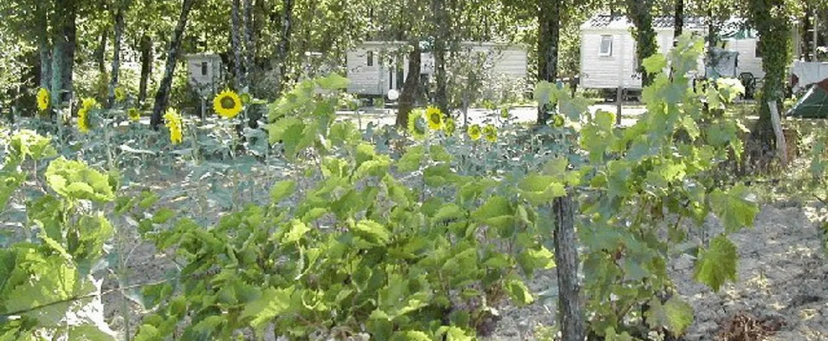 La Vallée de Gardeleau