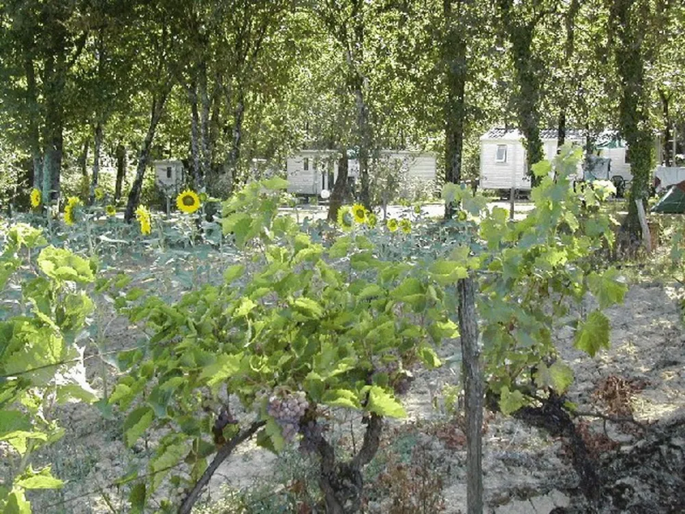 La Vallée de Gardeleau