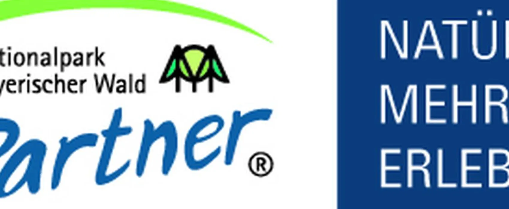 Naturzeltplatz Jägerfleck