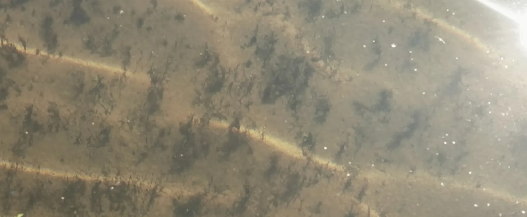 Watauga Dam Campground