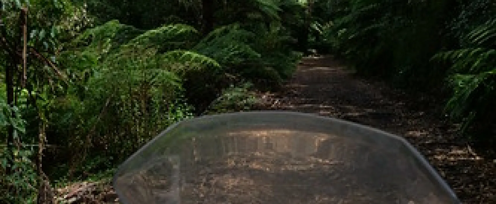 Toorongo Falls Campground