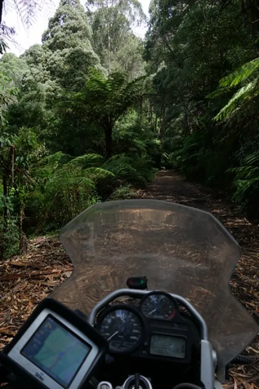 Toorongo Falls Campground