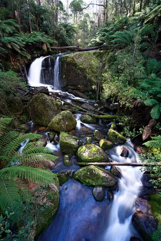 Toorongo Falls Campground