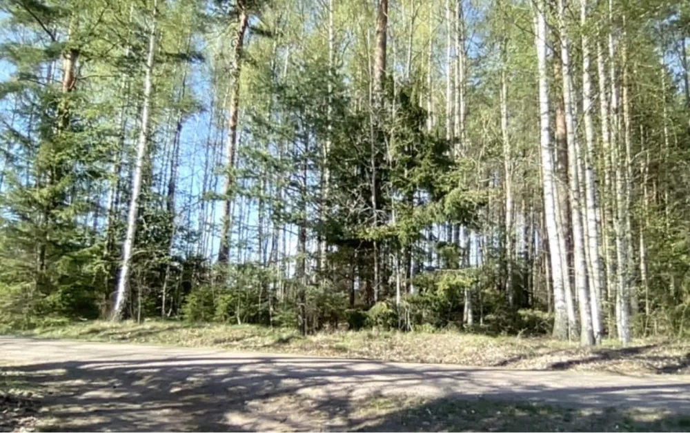 Villa Utsikten Skagern