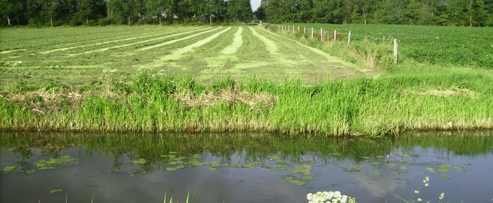 Minicamping Hoeve Loevestein