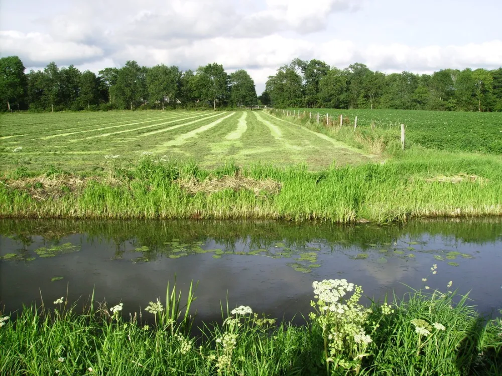 Minicamping Hoeve Loevestein