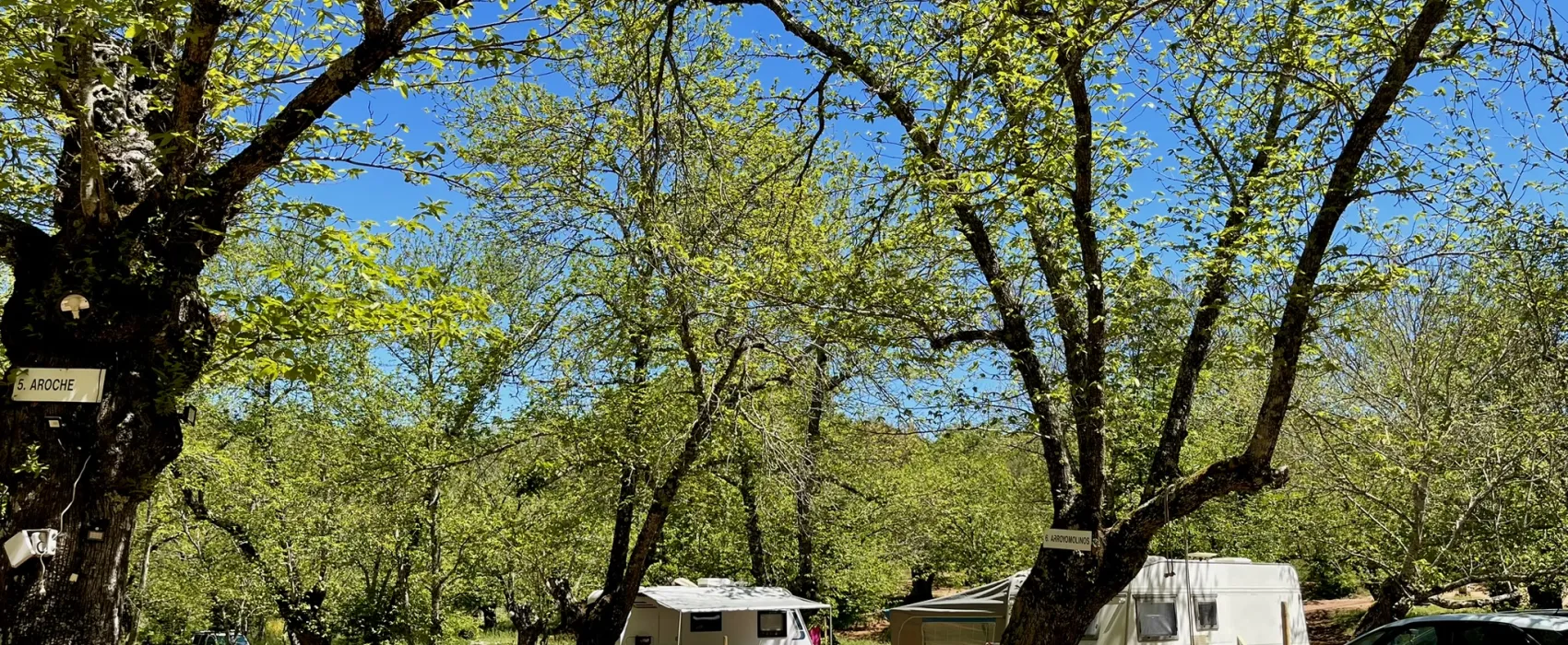 Camping el Madroñal