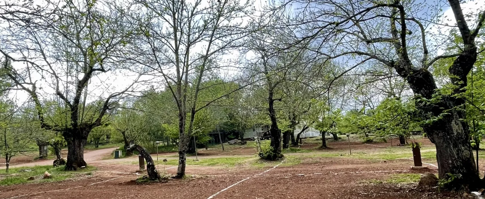 Camping el Madroñal