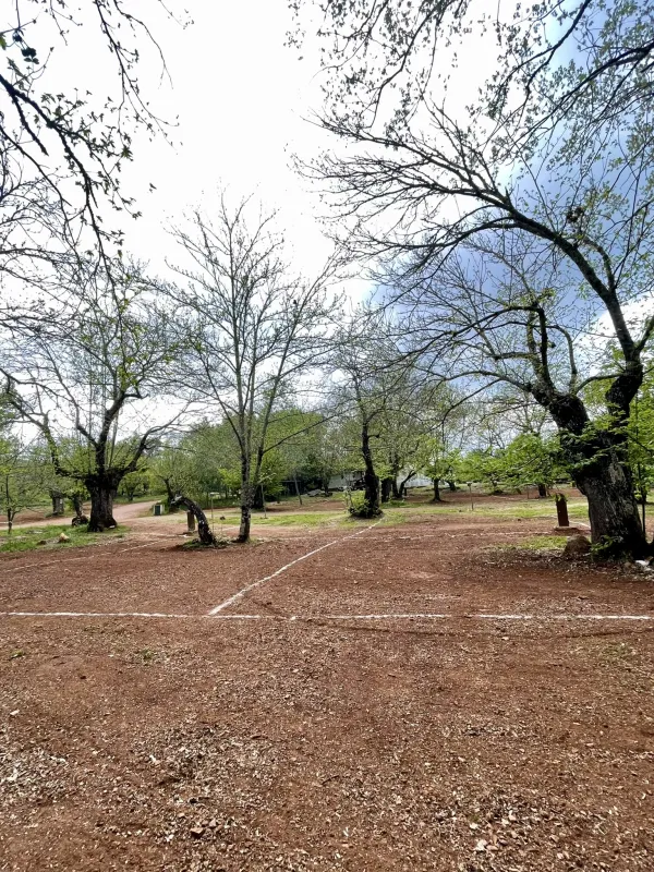 Camping el Madroñal