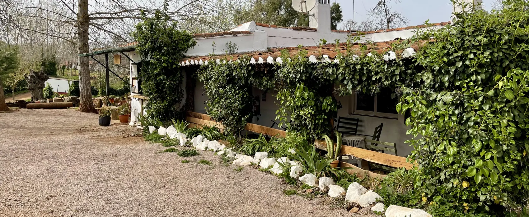 Camping el Madroñal