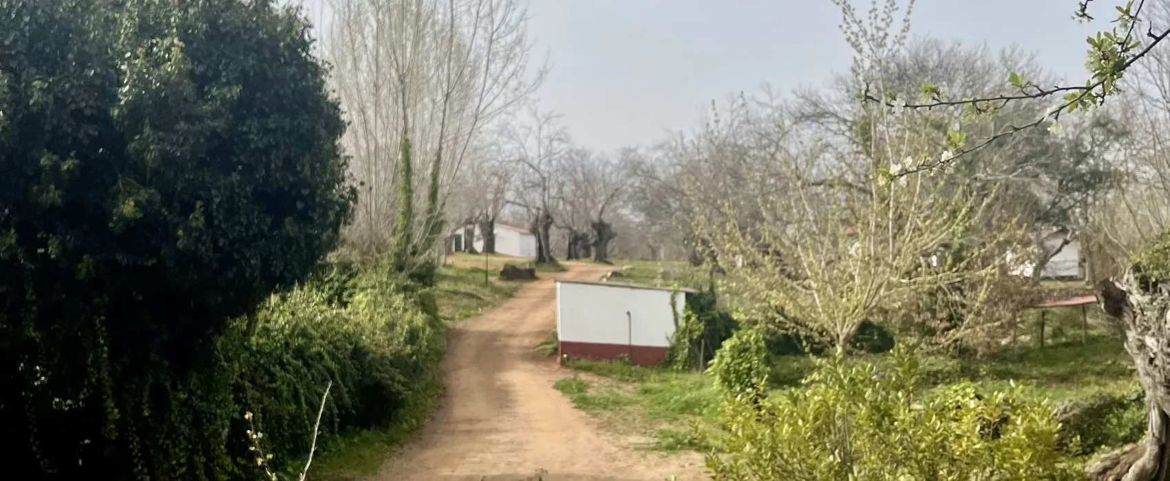 Camping el Madroñal