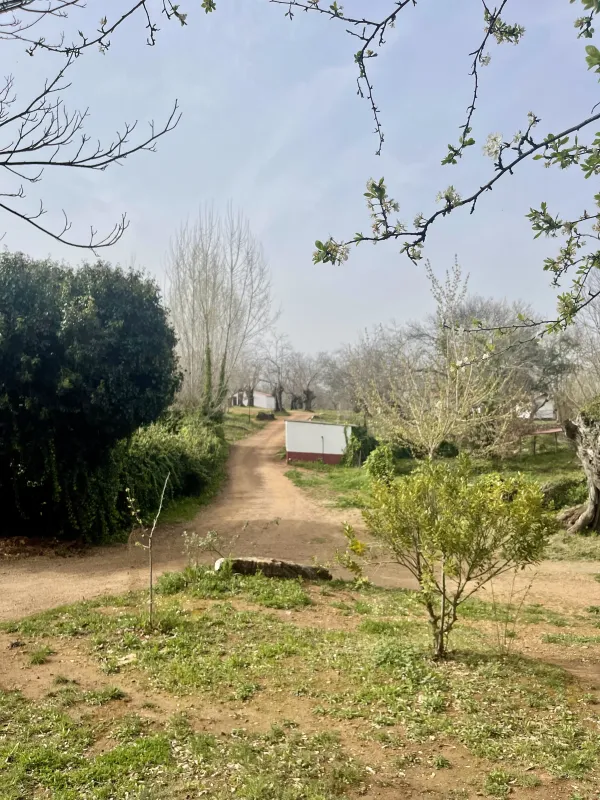 Camping el Madroñal