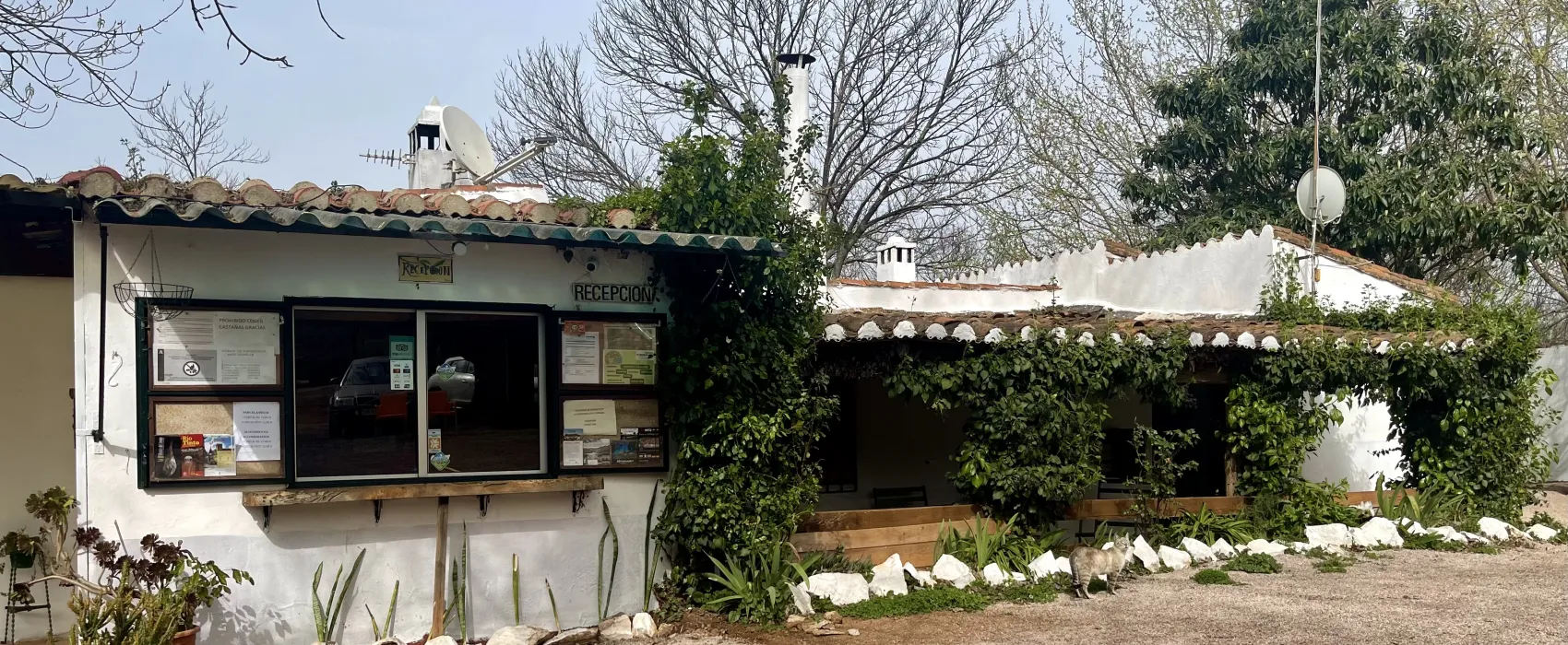 Camping el Madroñal