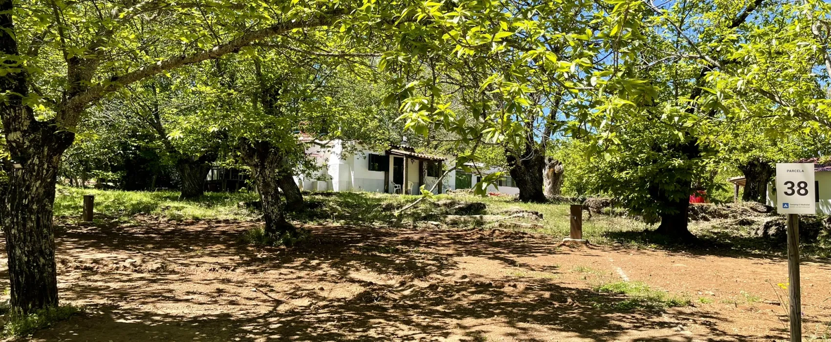 Camping el Madroñal