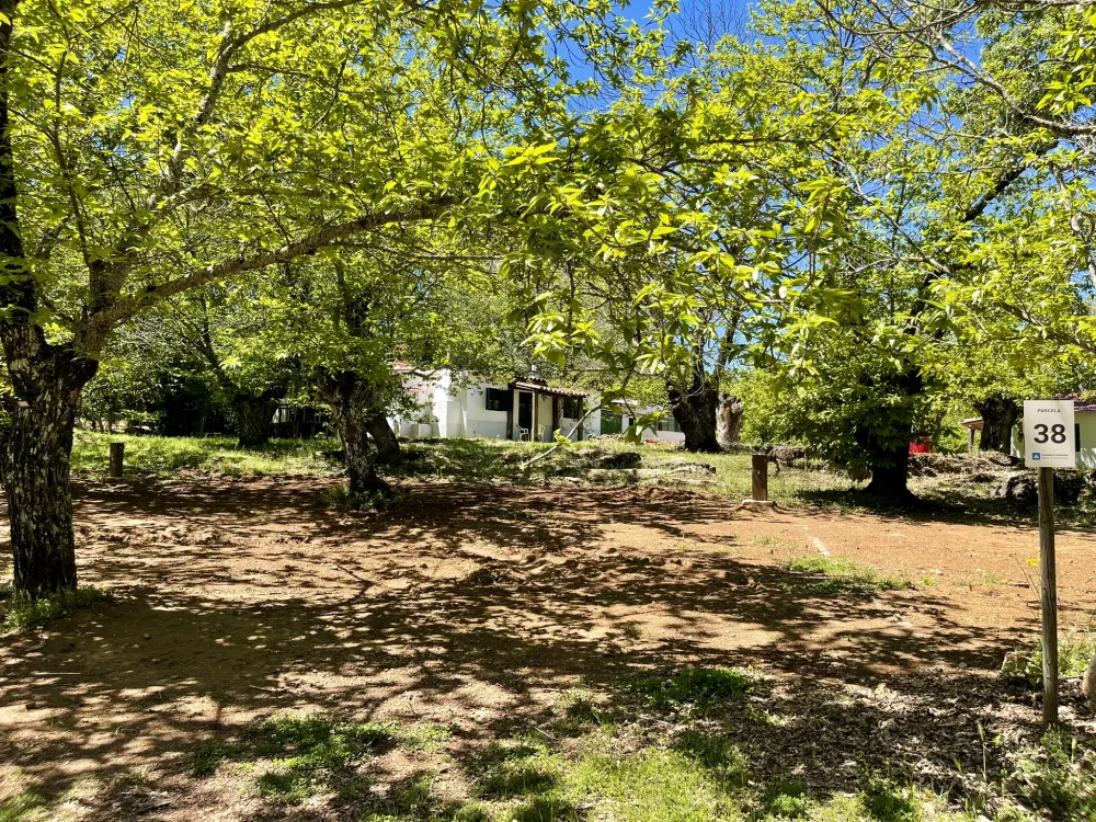 Camping el Madroñal