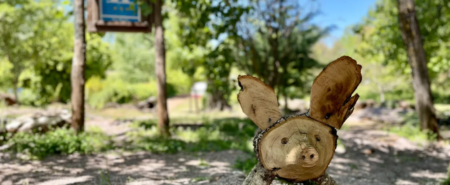 Camping el Madroñal