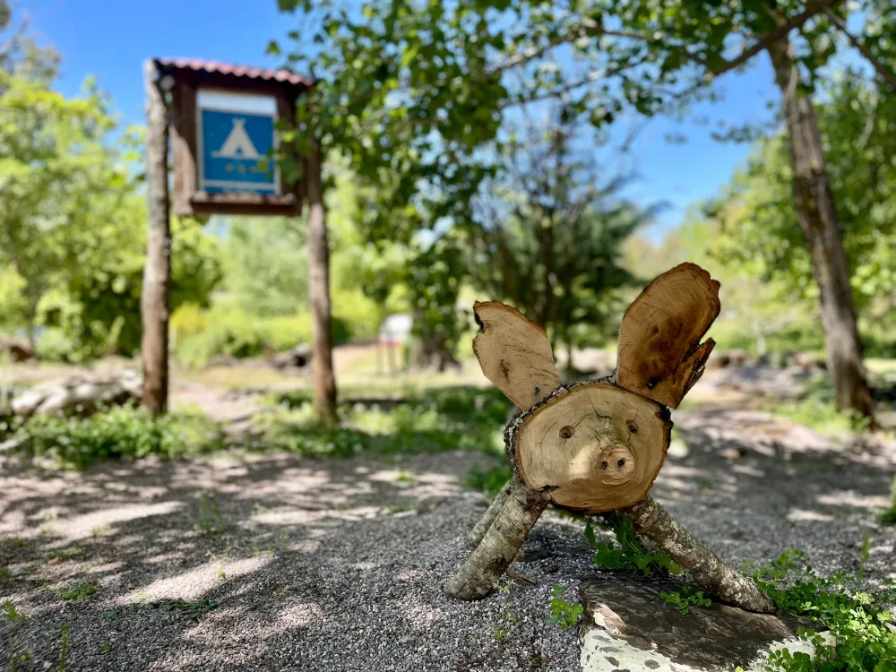 Camping el Madroñal