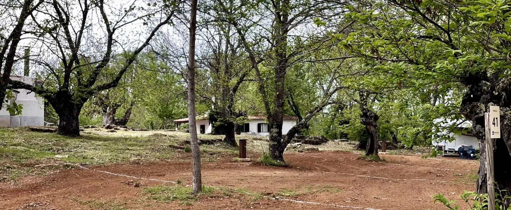 Camping el Madroñal