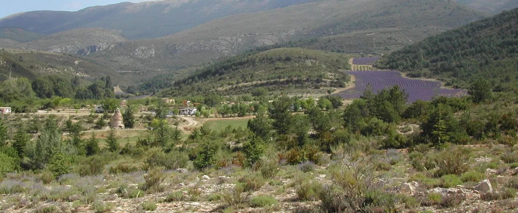 Camping aire naturelle de Lions Georges