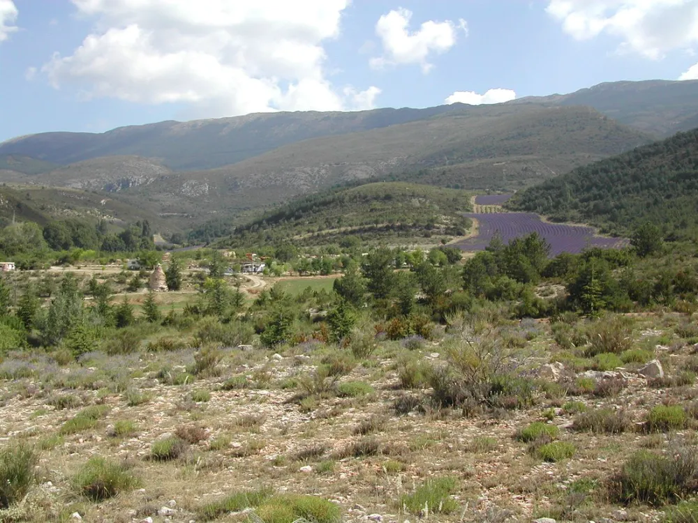 Camping aire naturelle de Lions Georges