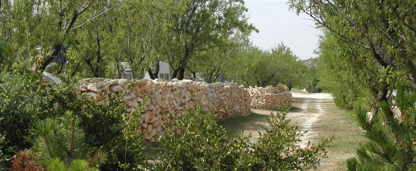 Camping aire naturelle de Lions Georges